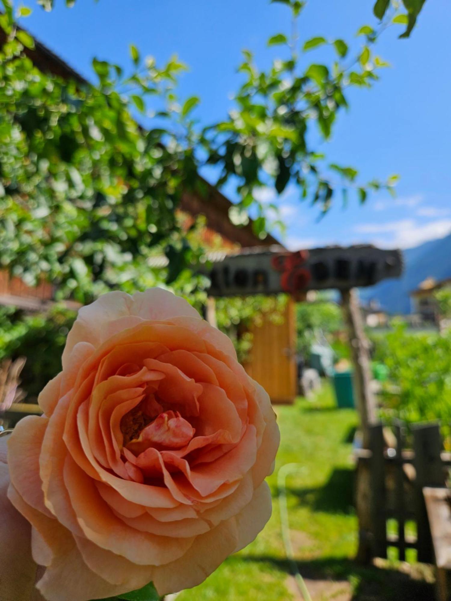 Edenlehen 4* Mayrhofen